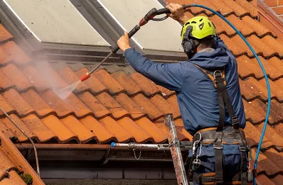 Démoussage et hydrofuge de toiture à Brissac